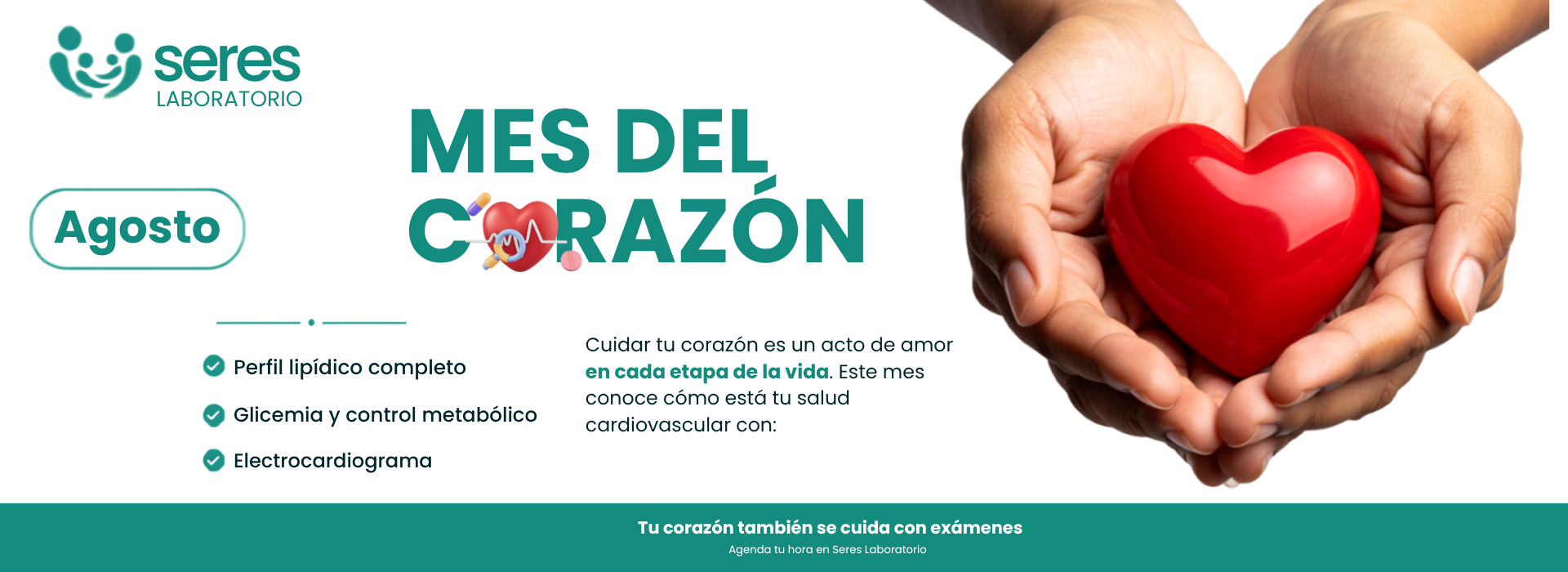 Agosto, mes del corazón: conoce cómo está tu salud cardiovascular con perfil lipídico completo, glicemia y control metabólico, y electrocardiograma. Agenda tu hora en Seres Laboratorio